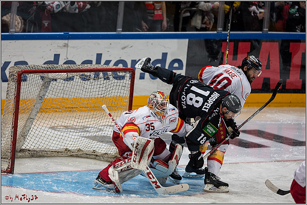 DEL, Koelner Haie - Duesseldorfer EG, 14.02.2017